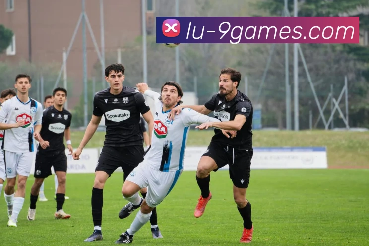 九游娱乐官网APP 封面图